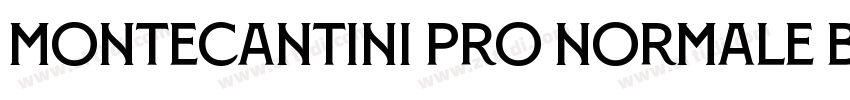 Montecantini Pro Normale Bold字体转换